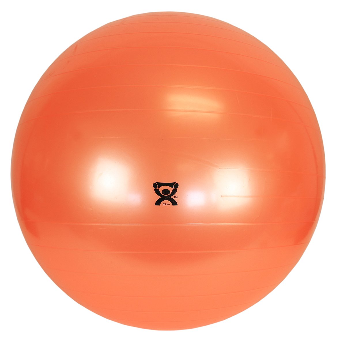 CanDo® Exercise Ball – 22-Inch Stability Ball for Balance, Strength & Rehabilitation | Anti-Burst, Latex-Free